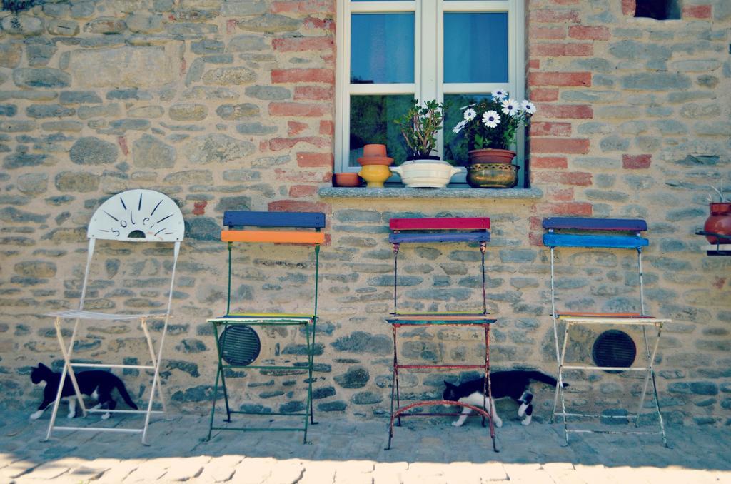 Diano dʼAlba Cascina Il Convivio旅馆 外观 照片