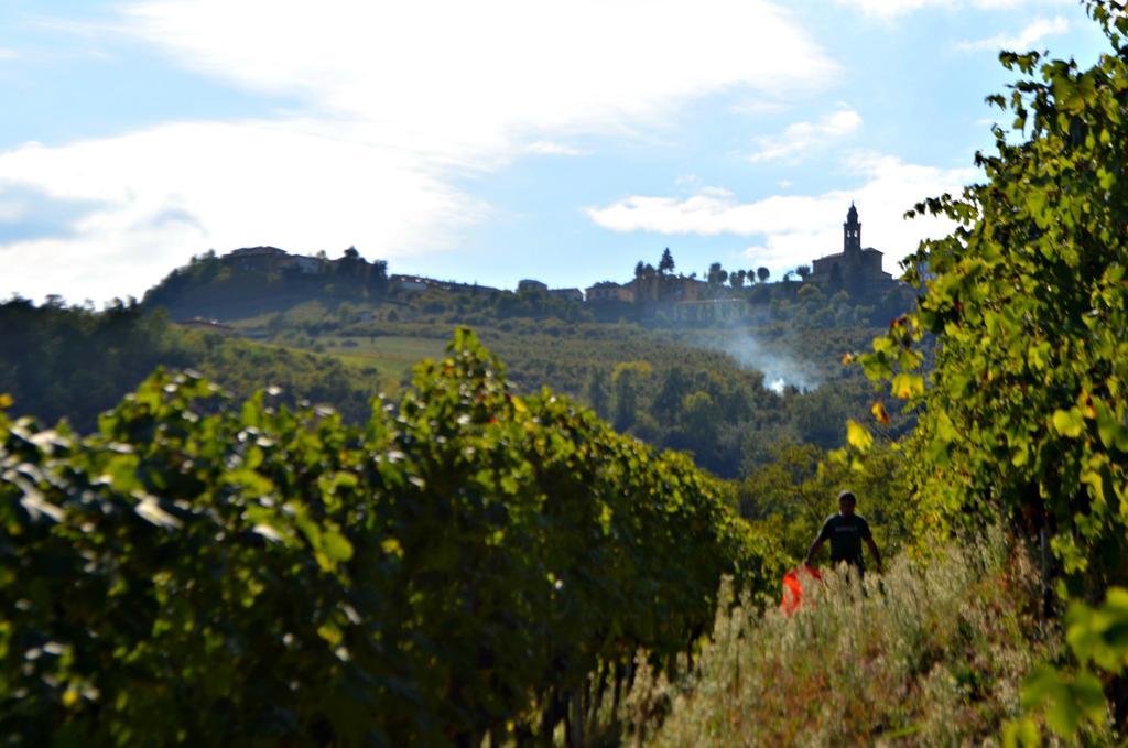 Diano dʼAlba Cascina Il Convivio旅馆 外观 照片