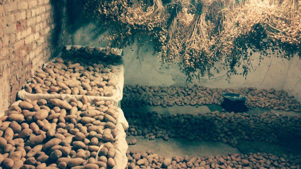 Diano dʼAlba Cascina Il Convivio旅馆 外观 照片